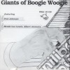 Pete Johnson / Albert Ammons - Giants Of Boogie Woogie cd