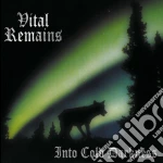 (LP Vinile) Vital Remains - Into Cold Darkness vinile
