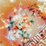 Bibio - Silver Wilkinson cd