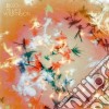 Bibio - Silver Wilkinson cd