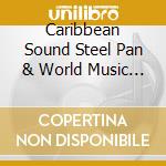 Caribbean Sound Steel Pan & World Music Ensemble - Beyond The Islands cd