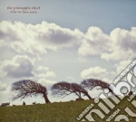 Pineapple Thief (The) - What We Have Sown cd