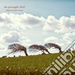 Pineapple Thief (The) - What We Have Sown cd