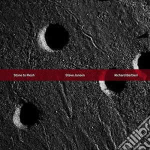 Steve Jansen / Richard Barbieri - Stone To Flesh cd musicale di Steve Jansen e Richard Barbieri