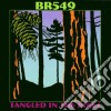 Br5-49 - Tangled In The Pines cd