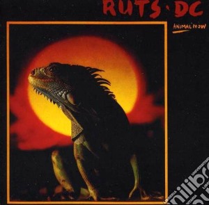 Ruts Dc - Animal Now cd musicale di Dc Ruts