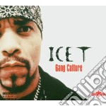 Ice-t - Gang Culture