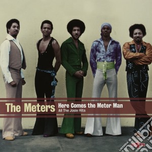 (LP Vinile) Meters (The) - Here Comes The Meter Man lp vinile di Meters