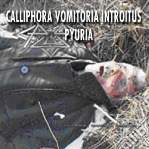 Pyuria - Calliphora Vomitoria Int cd musicale di Pyuria