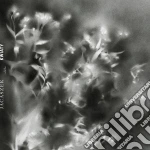 Jacaszek - Kwiaty cd
