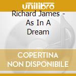 Richard James - As In A Dream cd musicale di Richard James