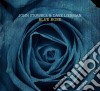 John Stowell & Dave Liebman - Blue Rose cd