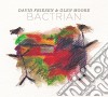 David Friesen & Glen Moore - Bactrian cd