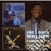 Joe Louis Walker - Cold Is The Night & The Gift cd
