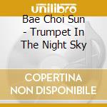 Bae Choi Sun - Trumpet In The Night Sky cd