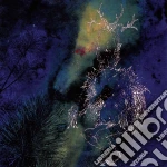 (LP Vinile) Bardo Pond - Under The Pines vinile