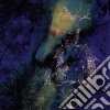 (LP Vinile) Bardo Pond - Under The Pines cd