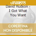 David Hudson - I Got What You Want cd