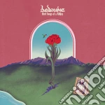 Bedouine - Bird Songs Of A Killjoy cd
