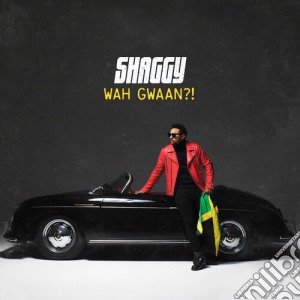 (LP Vinile) Shaggy - Wah Gwaan lp vinile