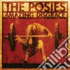 (LP Vinile) Posies (The) - Amazing Disgrace (2 Lp) lp vinile di Posies