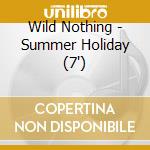Wild Nothing - Summer Holiday (7
