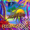 Kc & The Sunshine Band - Feeling You! The 60'S cd