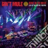 Gov't Mule - Bring On The Music - Live At The Capitol Theatre (2 Cd) cd