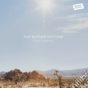 Stee Downes - The Bigger Picture cd musicale di Stee Downes