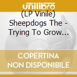 (LP Vinile) Sheepdogs The - Trying To Grow (Rsd)
