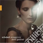 Franz Schubert - Arpeggione