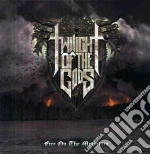(LP VINILE) Fire on the mountain cd