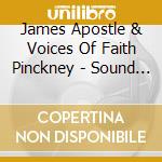 James Apostle & Voices Of Faith Pinckney - Sound Of Holiness cd