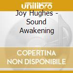 Joy Hughes - Sound Awakening cd