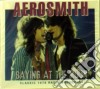 Aerosmith - Baying At The Moon cd
