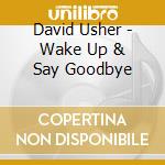 David Usher - Wake Up & Say Goodbye cd