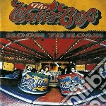 (LP Vinile) Waterboys (The) - Room To Roam vinile