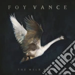 Foy Vance - The Wild Swan cd