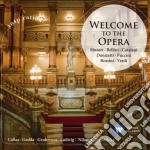 Welcome to the opera
