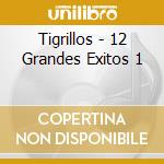 Tigrillos - 12 Grandes Exitos 1 cd