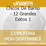 Chicos De Barrio - 12 Grandes Exitos 1 cd