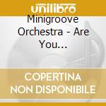 Minigroove Orchestra - Are You Minigrooved cd