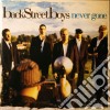 Backstreet Boys - Never Gone (Cd+Dvd) cd