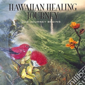 Bryan Kessler & Steve Jones - The Journey Begins cd musicale di Bryan Kessler & Steve Jones