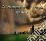 Rob Ryndak -A Wonderful Thing cd