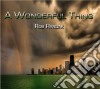 Rob Ryndak -A Wonderful Thing cd