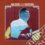 Muddy Waters - Unk In Funk