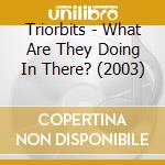 Triorbits - What Are They Doing In There? (2003) cd