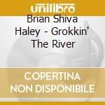 Brian Shiva Haley - Grokkin' The River cd musicale di Brian Shiva Haley
