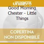 Good Morning Chester - Little Things cd